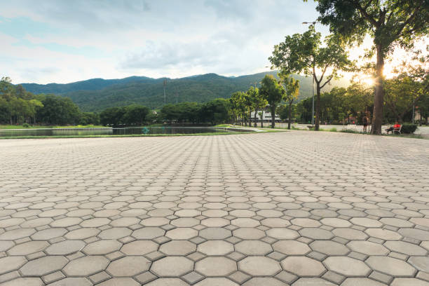 Professional Driveway Pavers in Skyline Ganipa, NM